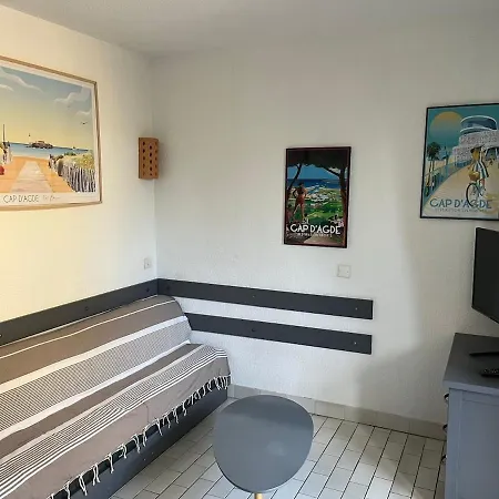 Appartement Avec Piscine Proche Ile Des Loisirs Agde